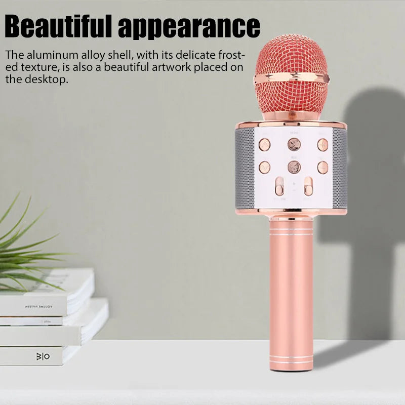 Wireless Karaoke Microphone USB Speaker Microphone
