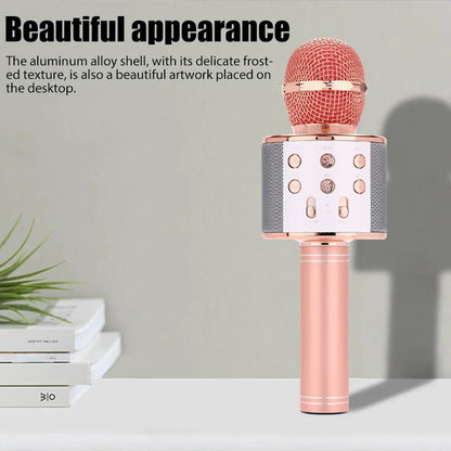 Wireless Karaoke Microphone USB Speaker Microphone