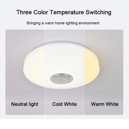 MARPOU Smart Modern Ceiling Lighting RGB Ceiling Lamps with Bluetooth Speaker