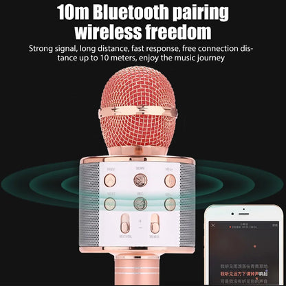 Wireless Karaoke Microphone USB Speaker Microphone